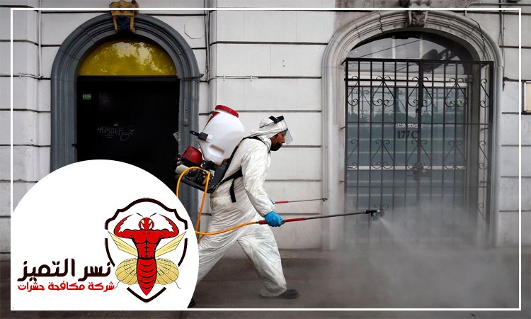 شركة رش مبيدات