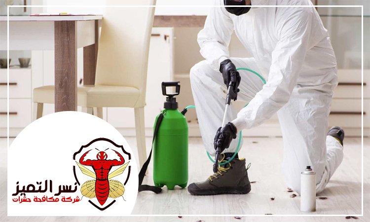 شركة رش مبيدات الشارقة