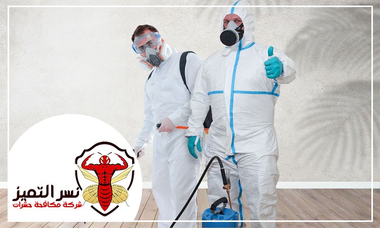 أفضل شركة مكافحة حشرات
