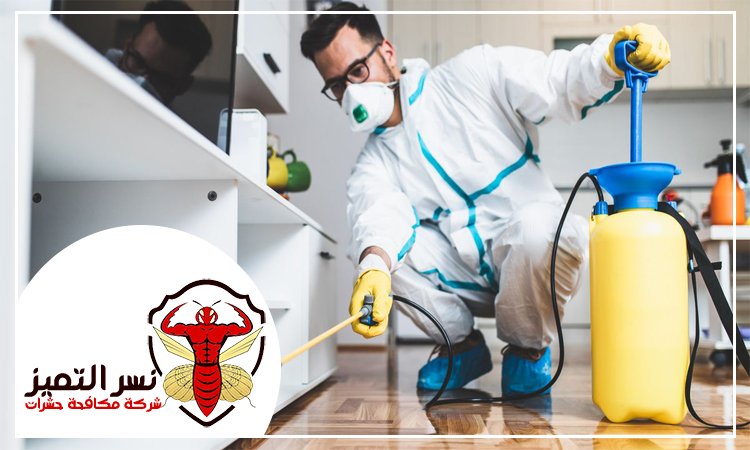 شركة مكافحة حشرات