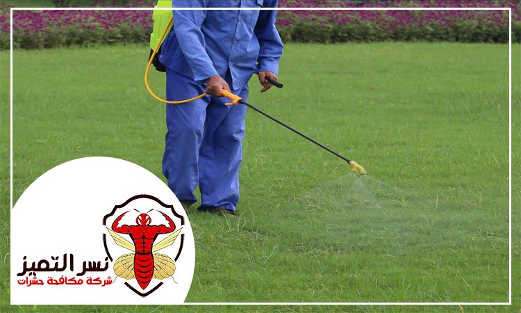 شركة رش مبيدات الشارقة