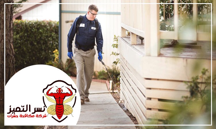 مكافحة حشرات