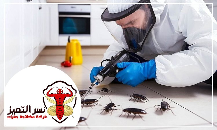 شركة مكافحة الصراصير