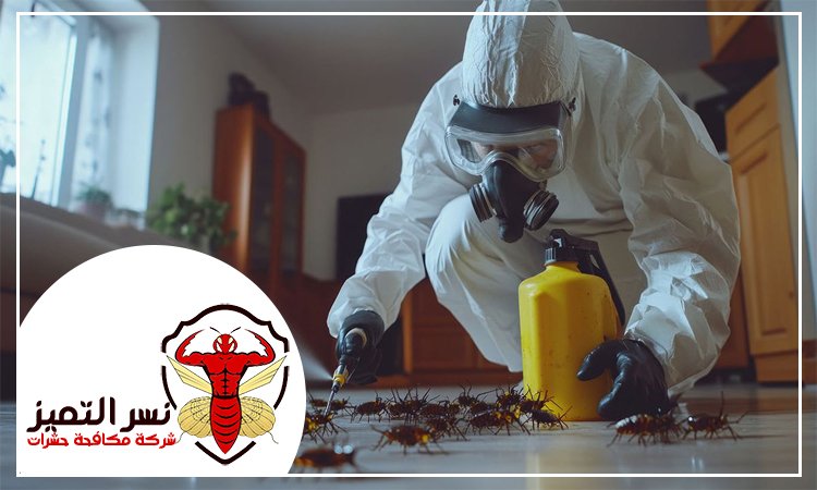 شركة مكافحة الصراصير
